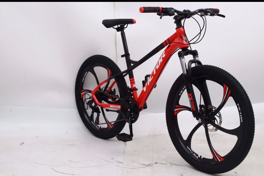 دوچرخه رینگ اسپرت