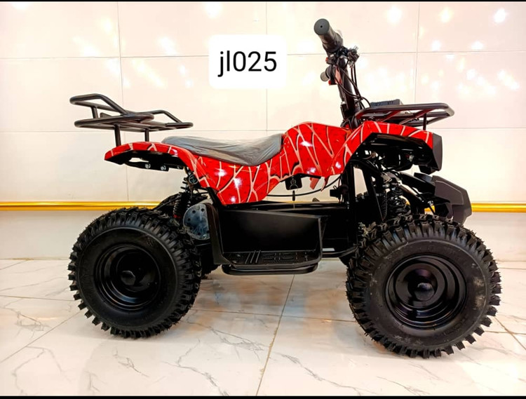 موتور چهار چرخ ساحلی شهری برقی کایان زارا Z4
