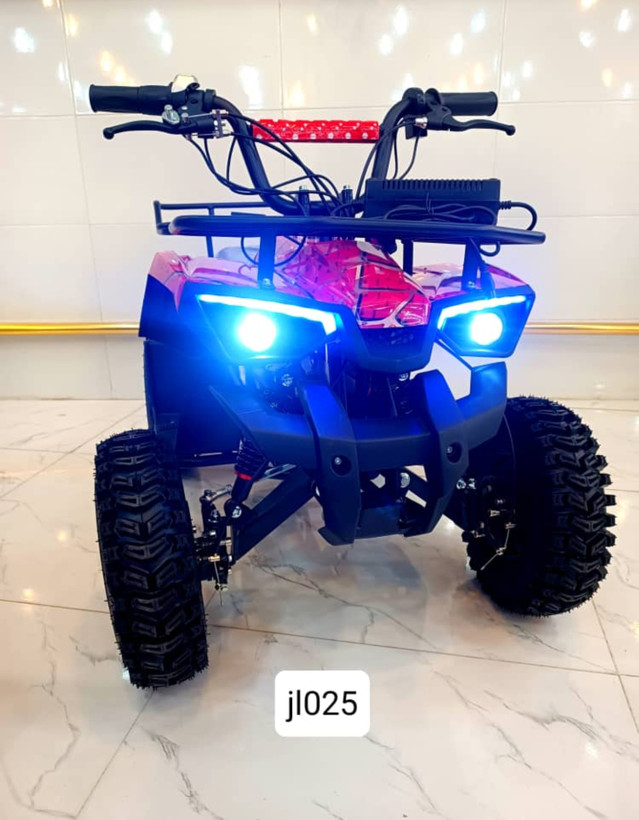 موتور چهار چرخ ساحلی شهری برقی کایان زارا Z4