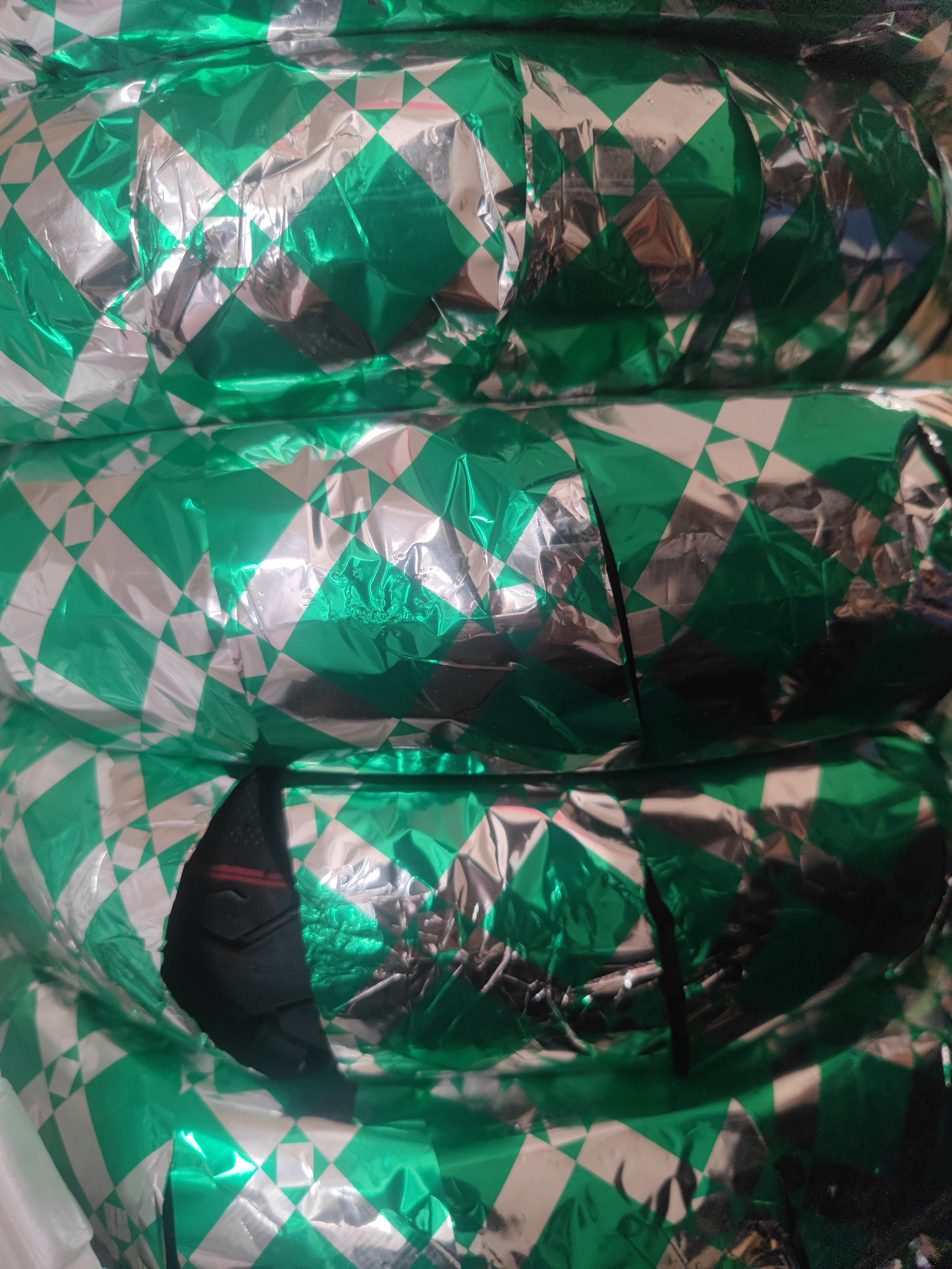 لاستیک پاکشتی