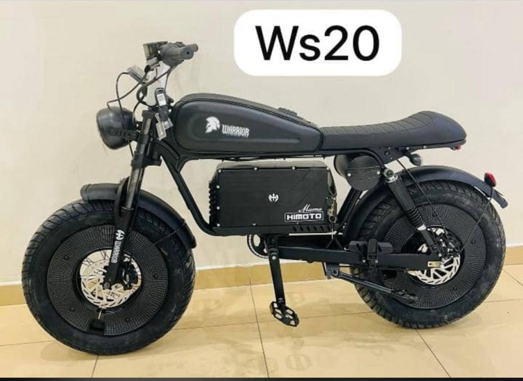 دوچرخه برقی وینر اسکای wS21